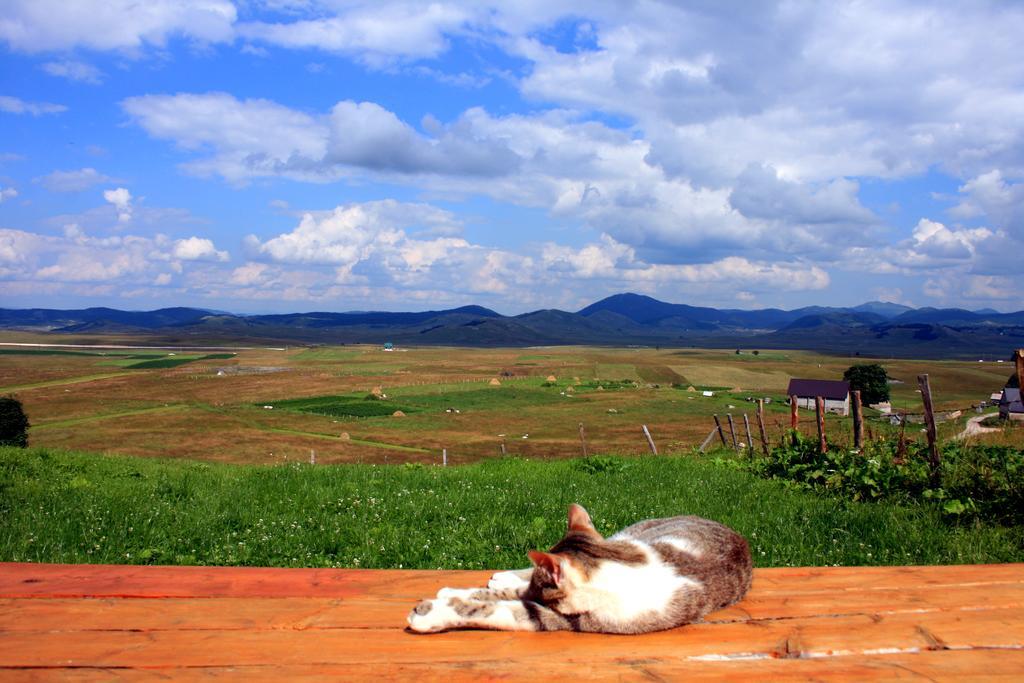 Family Farm Bungalow Žabljak Esterno foto
